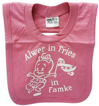 images/productimages/small/slab-alwer-in-fries-famke.png